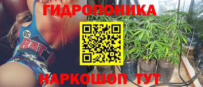 трава Гусь-Хрустальный
