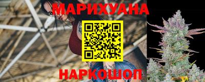 мдпв Гусев