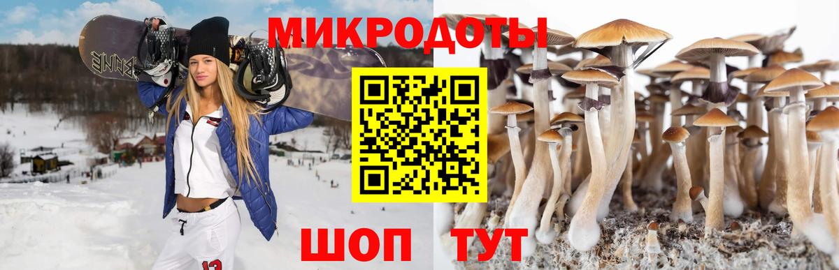Миасс  Псилоцибиновые грибы мицелий  Вход с VPN 